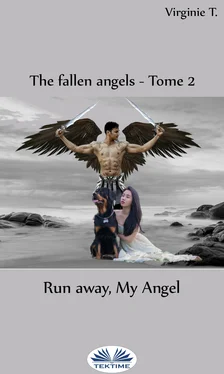 Virginie T. Run Away, My Angel обложка книги