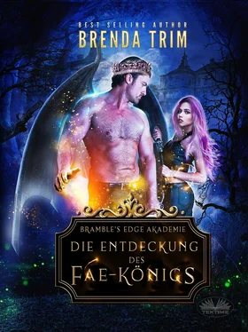 Brenda Trim Die Entdeckung Des Fae-Königs обложка книги