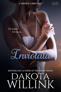 Dakota Willink Inviolata обложка книги