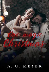 A. C. Meyer - One Magic Christmas