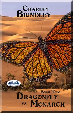 Charley Brindley Dragonfly Vs Monarch обложка книги