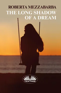 Roberta Mezzabarba The Long Shadow Of A Dream обложка книги