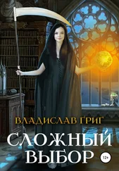 Владислав Григ - Сложный выбор