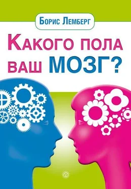 Борис Лемберг Какого пола ваш мозг? обложка книги