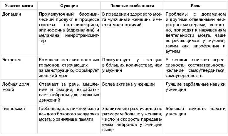 Какого пола ваш мозг - фото 3