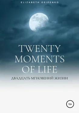 Elizabeth Osipenko Twenty moments of life обложка книги