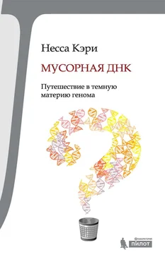 Несса Кэри Мусорная ДНК. Путешествие в темную материю генома обложка книги