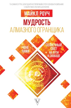 Майкл Роуч Мудрость Алмазного Огранщика: солнечный свет на пути к свободе обложка книги