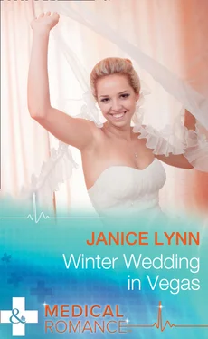 Janice Lynn Winter Wedding In Vegas обложка книги