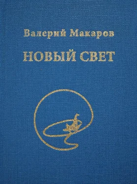 Валерий Макаров Новый Свет обложка книги