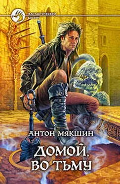 Антон Мякшин Домой, во Тьму обложка книги