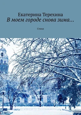 Екатерина Терехина В моем городе снова зима… Стихи обложка книги