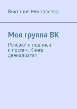 Виктория Мингалеева Моя группа ВК. Речёвки и подписи к постам. Книга двенадцатая обложка книги