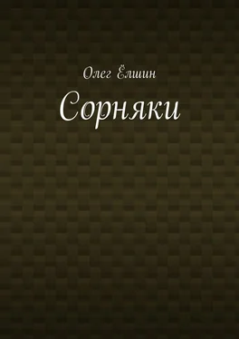 Олег Ёлшин Сорняки обложка книги