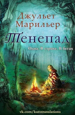 Джульет Марильер Тенепад (ЛП) обложка книги