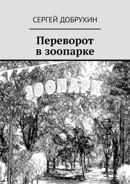 Сергей Добрухин Переворот в зоопарке обложка книги