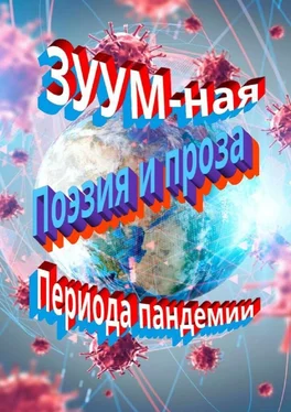 Владимир Гуга ЗУУM-ная поэзия и проза периода пандемии обложка книги