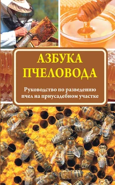 Н. Медведева Азбука пчеловода. Руководство по разведению пчел на приусадебном участке обложка книги