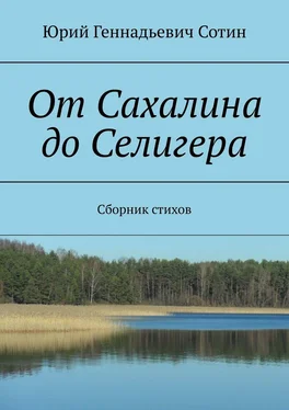 Юрий Сотин От Сахалина до Селигера. Сборник стихов обложка книги