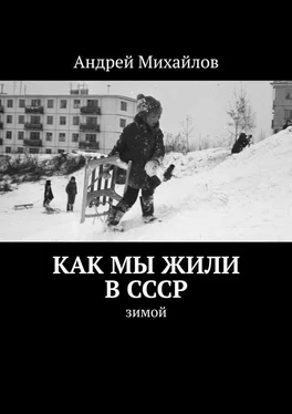 Андрей Михайлов Как мы жили в СССР. Зимой обложка книги