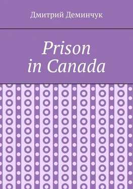 Дмитрий Деминчук Prison in Canada обложка книги