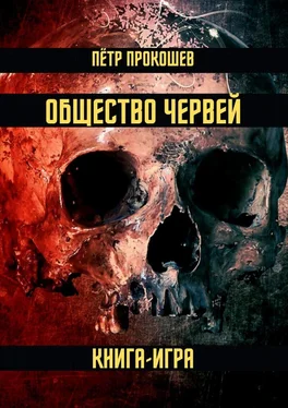 Пётр Прокошев Общество Червей. Книга-игра обложка книги