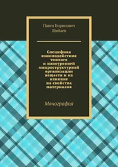 Павел Шибаев - Специфика взаимодействия тонкого и наноуровней микроструктурной организации веществ и их влияние на свойства материалов. Монография