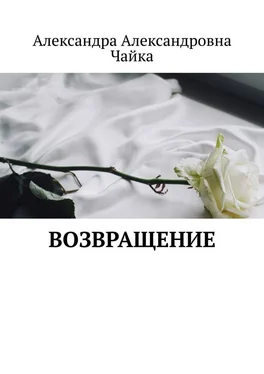 Александра Чайка Возвращение обложка книги