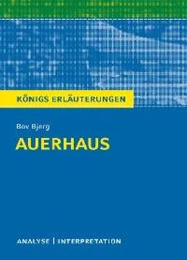 Bov Bjerg Auerhaus. Königs Erläuterungen. обложка книги