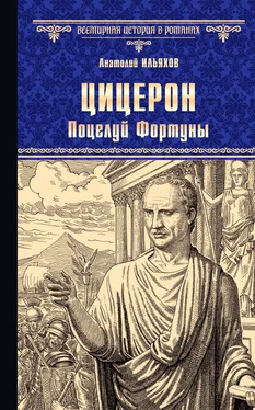 Анатолий Ильяхов Цицерон. Поцелуй Фортуны обложка книги