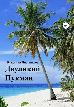 Владимир Чистополов Двуликий Пукман обложка книги