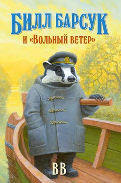 Дéнис Уоткинс-Питчфорд Билл Барсук и «Вольный ветер» обложка книги