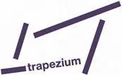 Галерея современного искусства Трапециядавно знакома с творчеством Андрея - фото 5
