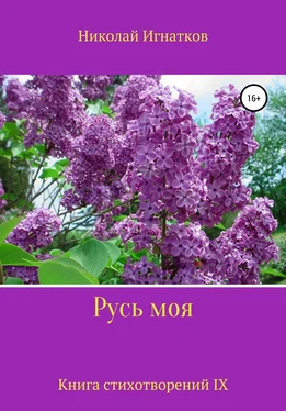 Николай Игнатков Русь моя. Книга IX обложка книги