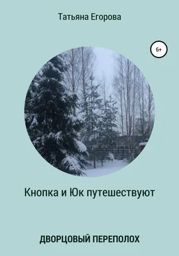 Татьяна Егорова Кнопка и Юк путешествуют. Дворцовый переполох обложка книги