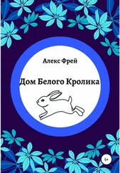 Алекс Фрей - Дом Белого Кролика
