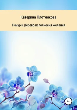 Катерина Плотникова Тимур и Дерево исполнения желания обложка книги