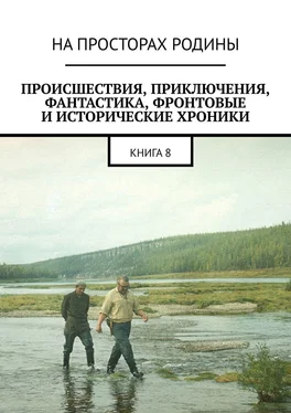 Владимир Иванов Происшествия, приключения, фантастика, фронтовые и исторические хроники. Книга 8 обложка книги