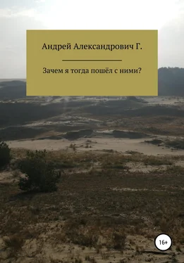 Андрей Гринин Зачем я тогда пошёл с ними обложка книги