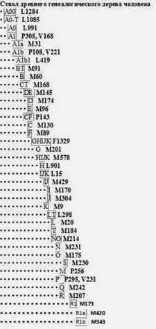 Yхромосомное дерево человечества показывающее основные гаплогруппы Всё это - фото 1