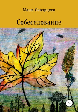 Мария Скворцова Собеседование обложка книги