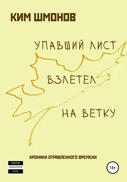 Ким Шмонов Упавший лист взлетел на ветку. Хроники отравленного времени обложка книги