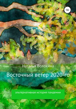 Наталья Волохина Восточный ветер 2020-го обложка книги