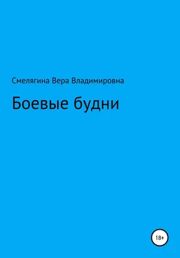 Вера Смелягина Боевые будни обложка книги