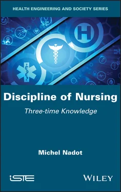 Michel Nadot Discipline of Nursing обложка книги