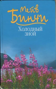 Мейв Бинчи Холодный зной обложка книги