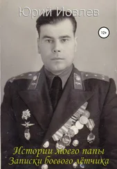 Юрий Иовлев - Истории моего папы. Записки боевого лётчика