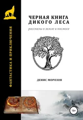 Денис Морозов - Черная книга Дикого леса. Рассказы о Земле и космосе.