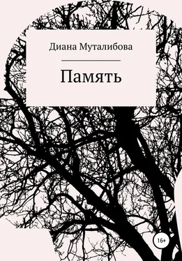 Диана Муталибова Память обложка книги