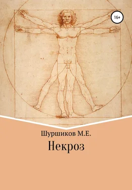 Матвей Шуршиков Некроз обложка книги